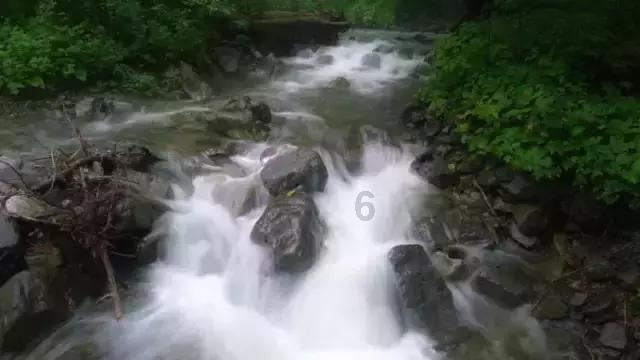 幽门螺杆菌感染需要治疗吗游戏画面